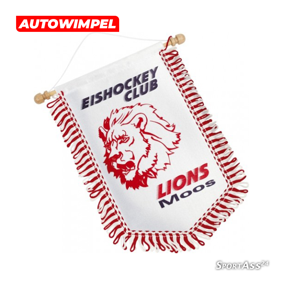 Wimpel Fünfeck Autowimpel MINI 8x12cm inkl. Druck